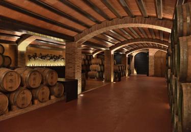 Interior de la bodega