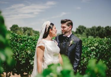 Novios entre la viña durante boda en Zaragoza