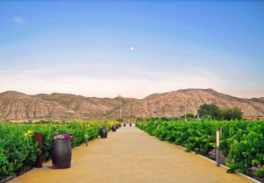 Entrada a la finca en Zaragoza, perfecta para tus presentaciones de producto